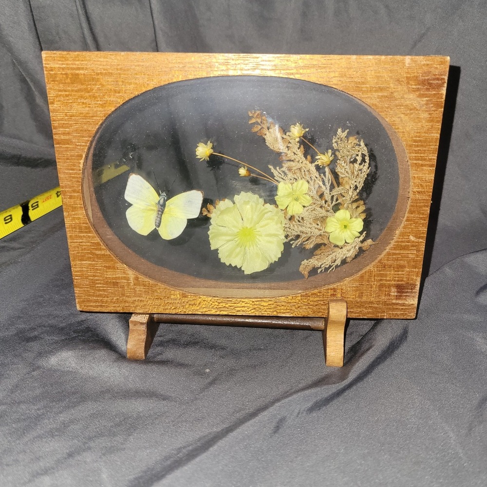 Vintage Butterfly Dried Flowers Oval Wood Framed Display On Stand